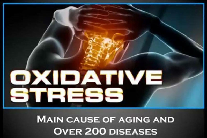 oxidative stress