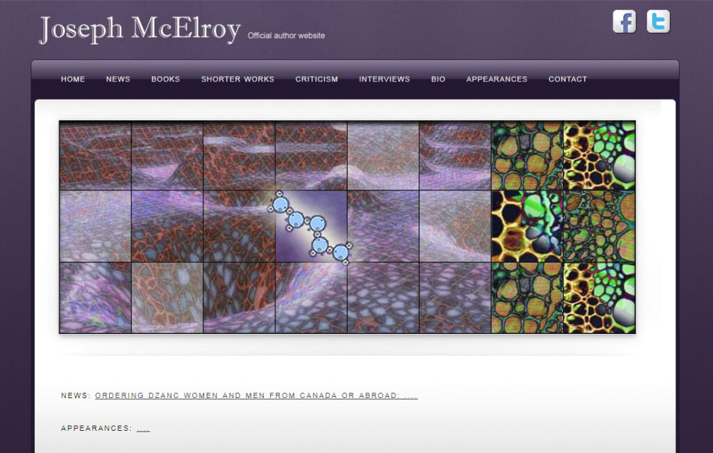 Author Joseph McElroy's site