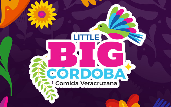 Wonder Web Clients | Little Big Cordoba