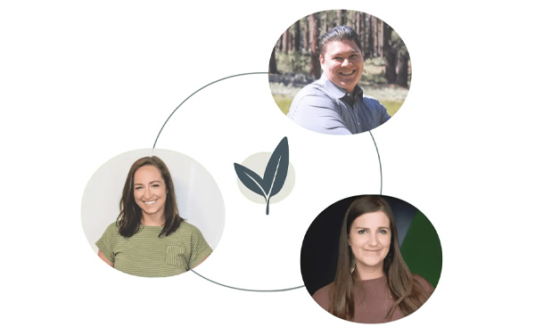 Wonder Web Clients - Prosperity ABCs Accounting Bookkeeping CFO Zephyr Cove